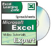 Microsoft Excel Beginner - Lopterra Services