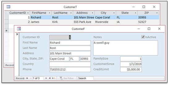 customer database template